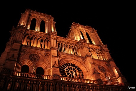 De Cathédrale Notre-Dame de Paris