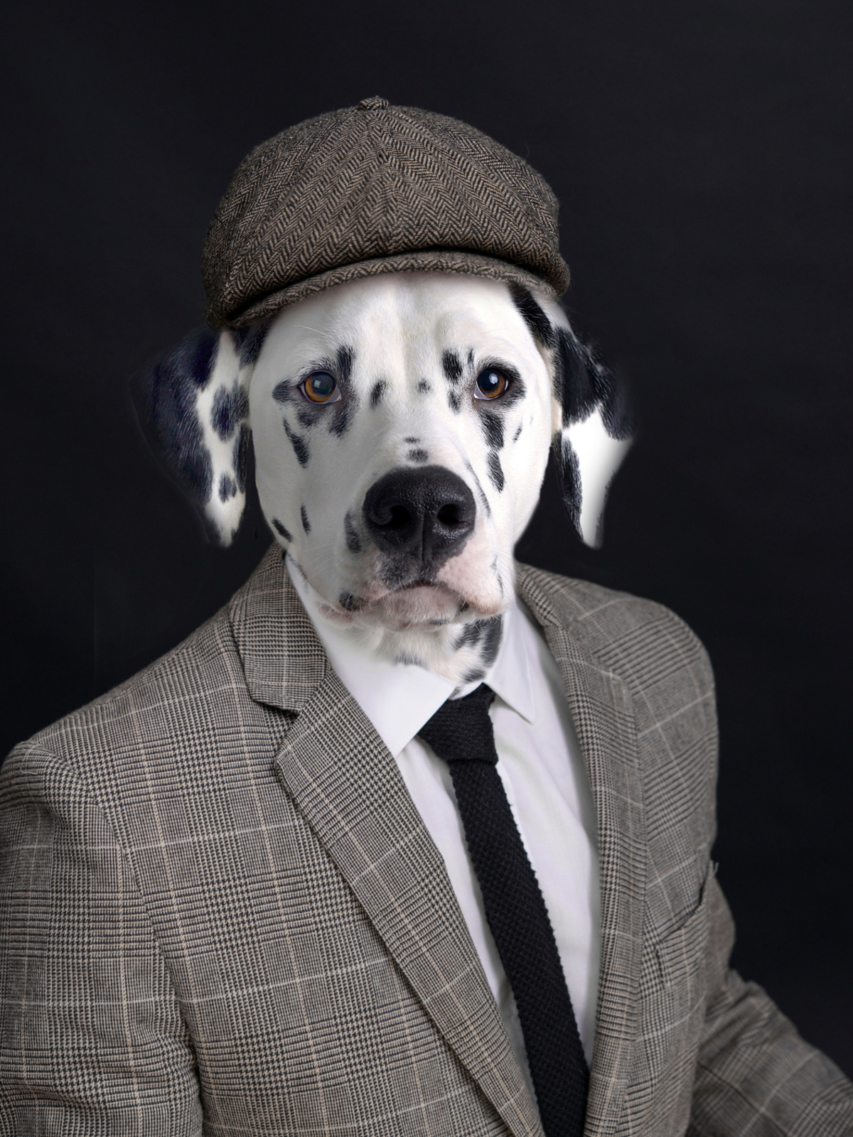 gokken Aggregaat Haalbaar Man met een hondengezicht of een hond met mannenkleren ? - foto van  Martine-10 - Portret - Zoom.nl