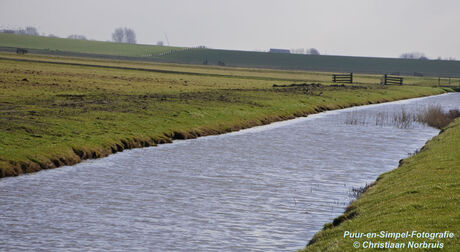 Natuur