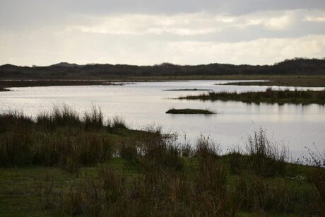 texels landschap