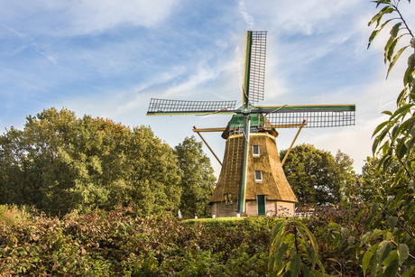 Molen in Ommen