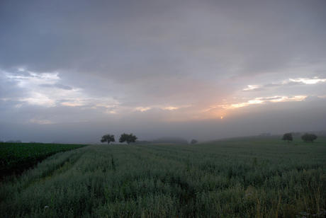 Ochtend in de Eifel