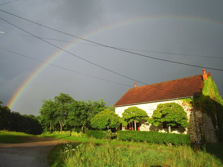 regenboog