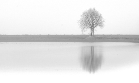 Solitude in White