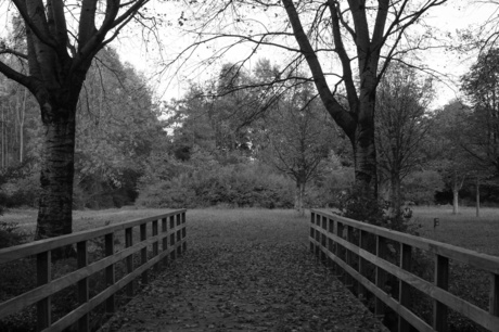 Brug in herst