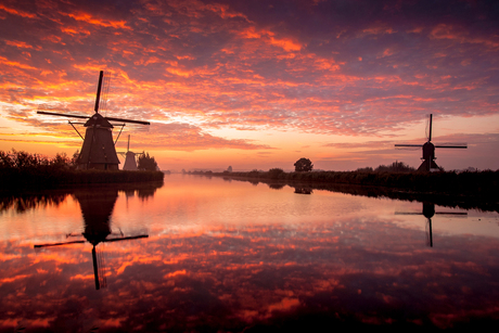 Kinderdijk ontwaakt....