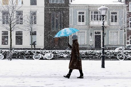 Blue umbrella