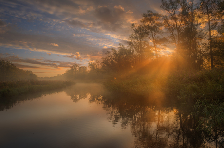 Biesbosch