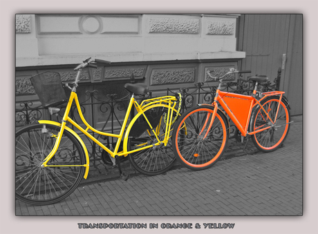 12 - Transportation in orange and yellow