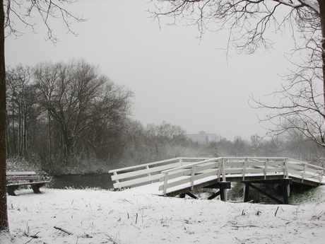 Sneeuw in de stad