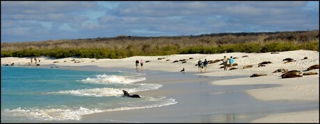 Galapagos