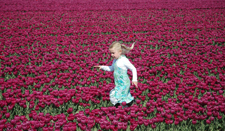 Running in the field