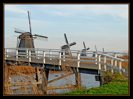 Windmolen Kinderdijk (6)