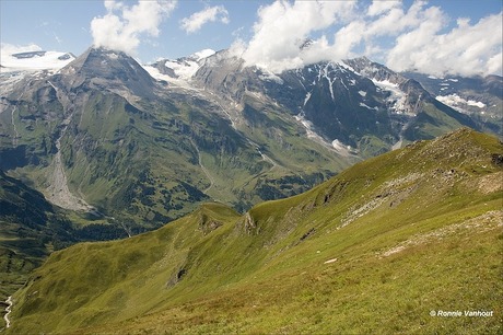 De alpen