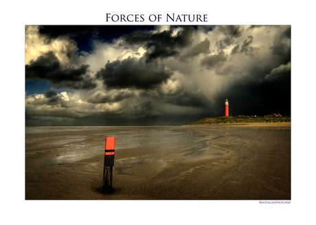 Forces of Nature 7