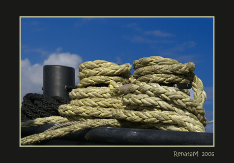 Tall Ship's Race Antwerpen