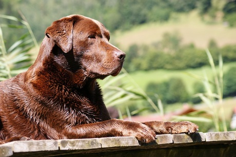 Relax op de steiger