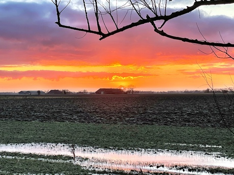 Kleurrijk begin van de dag