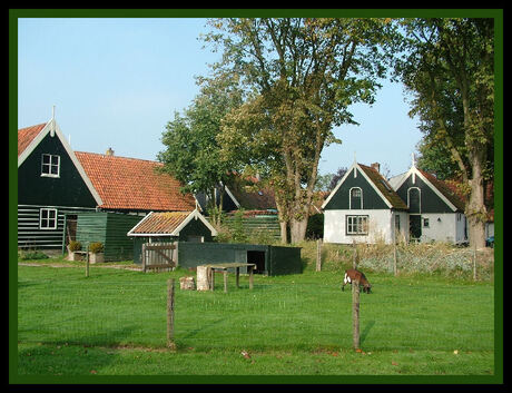 HET MOOIE TEXEL