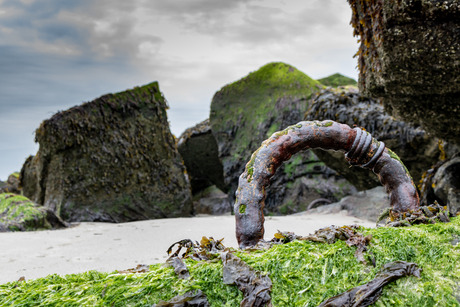 rots in de branding 1