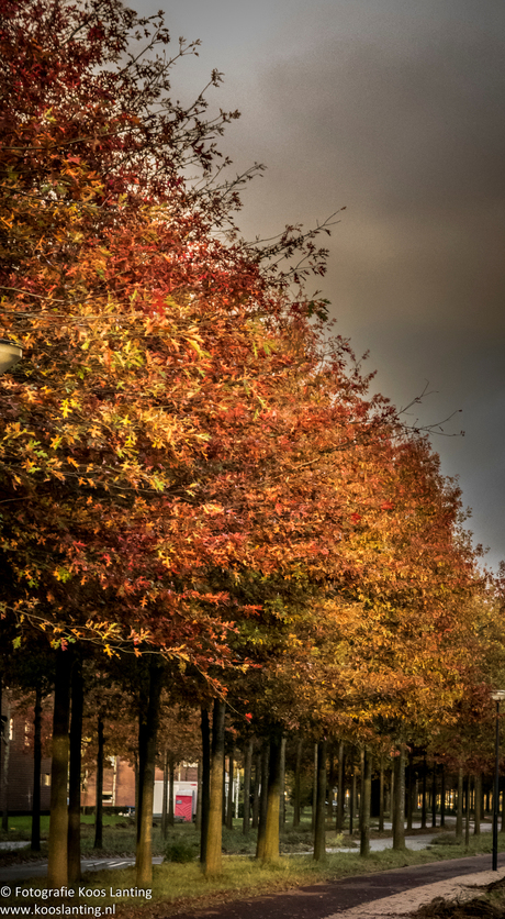 Herfst 2018