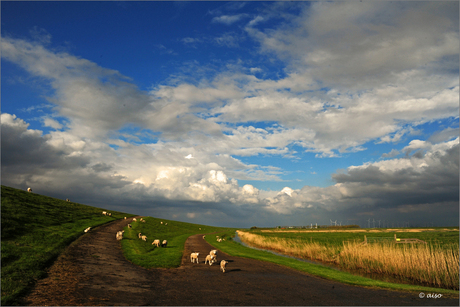 Aan de voet van de waddenzeedijk