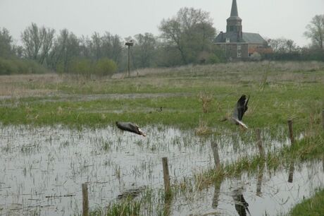 In de polder