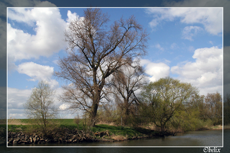 Kijk op de Biesbosch