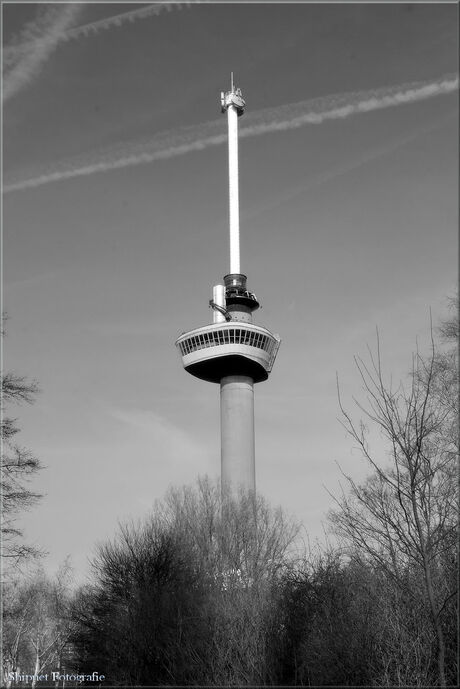 Groeten uit Rotterdam