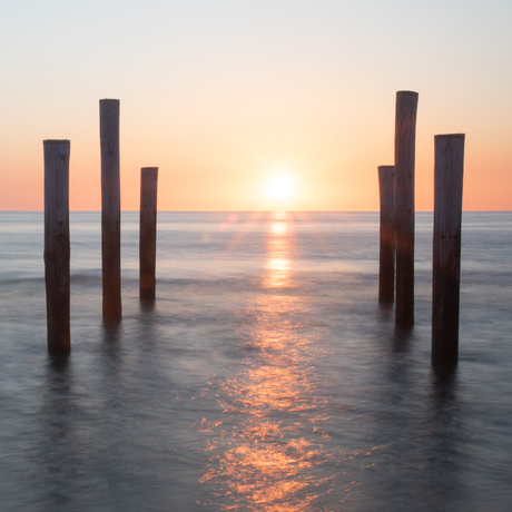 Palendorp Petten