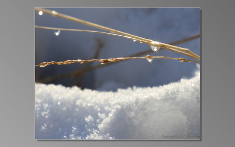 winterlicht.