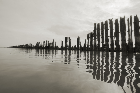 Waddenkust Peasens