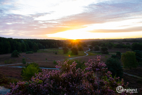 Zonsopkomst Brunssummerheide