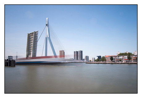 Rotterdam4