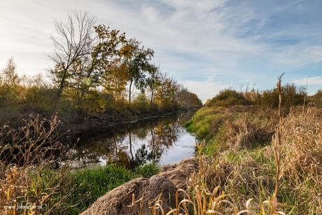 Bargerveen