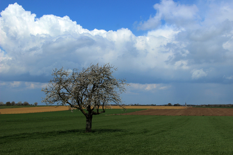 2016_0428_125851 Margraten Plateau Vergezicht Scheulder