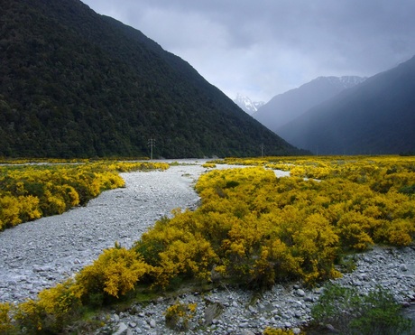 New Zealand Trans Alpine