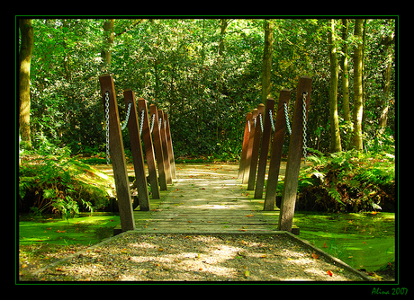 In het bos