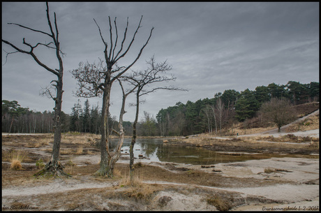 Brunssummerheide