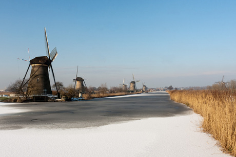 Hollandse molens