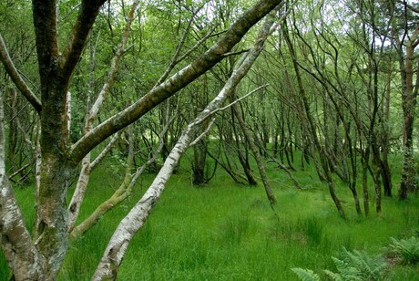 Ierland Wicklow Mountains
