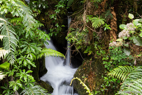 Rotorua - Nieuw Zeeland