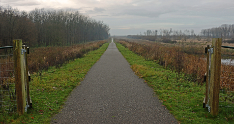 Oostvaardersplassen