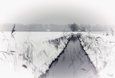 Witte winter wereld.2