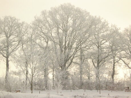 Sneeuw in maart 2005