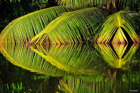 waterspiegeling Madagaskar