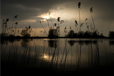 Zonschittering Marken Ysselmeer