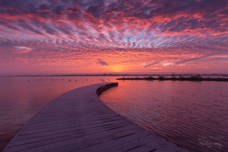 Zonsopkomst aan het Veluwemeer