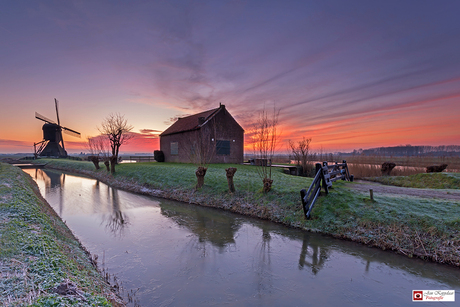 Hollands Gloren