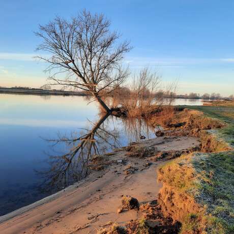 Spiegelen in de Maas